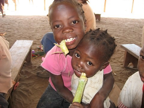chewing on sugarcane