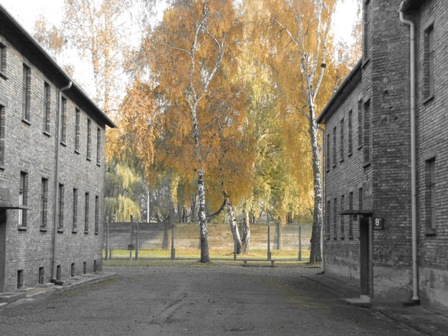 Auscwitz