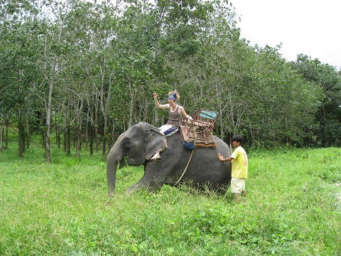 View of Indian Ocean from Bungee Jumping bridge!