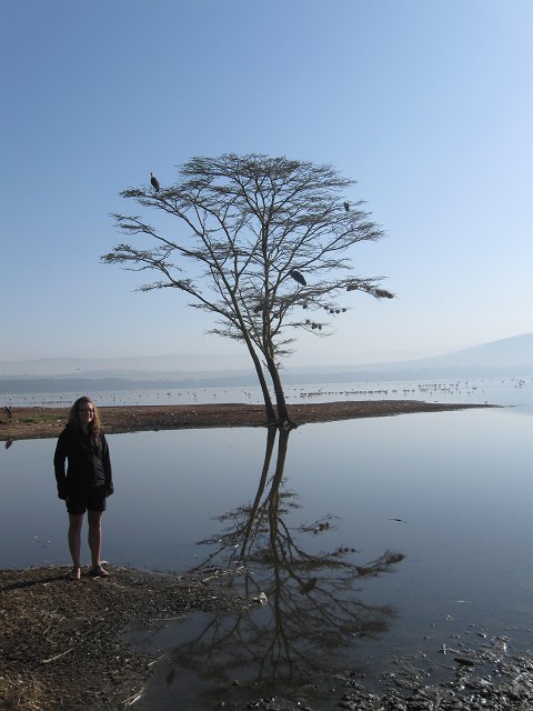Tree on lake Nakuru, Kenya