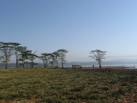 Safari, Nakuru, Kenya