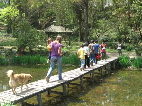 At the botanical gardens with the children, Nepal