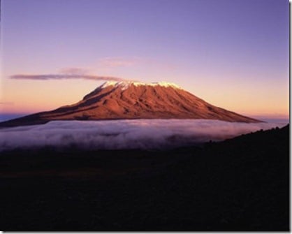 Kilimanjaro-59-611