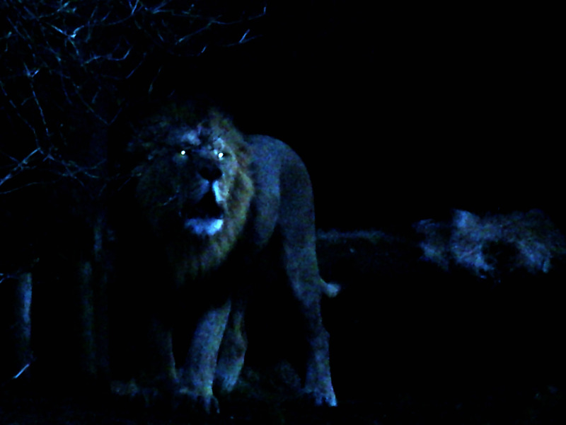 The Call joebunting.theworldrace.org