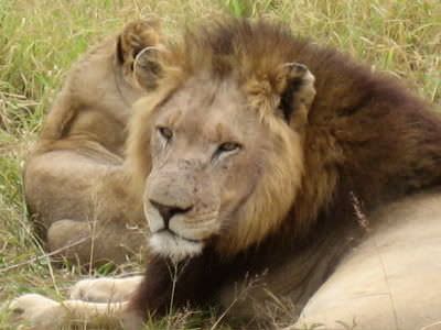 Photo Sharing and Video Hosting at Photobucket