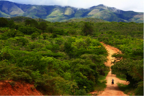 From katiethompson.theworldrace.org