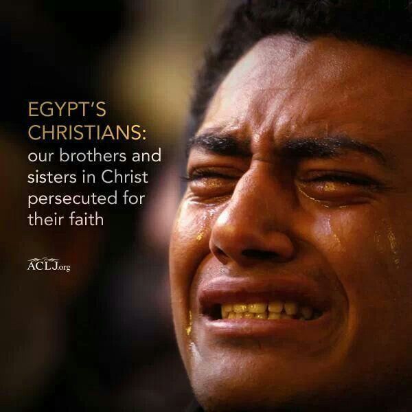 From davidhamilton.theworldrace.org