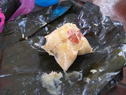 messy little guys those tamugas....