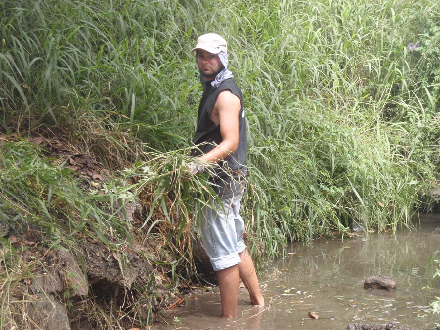Matt working in the weeds, or maybe playing hide and seek with the giant lizards we found. 