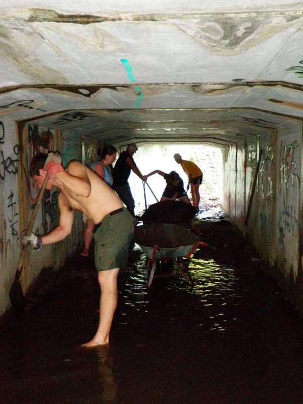 6 ft cealings made for lots of head bumbs and spider webs in your hair