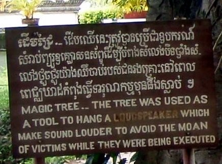 First tree I saw.