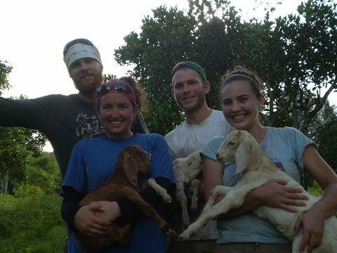 Josh, Ashley, Dan and myself at the goat the Bang family's goat farm.
