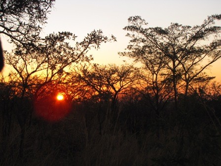 sunrise at Kruger Park
