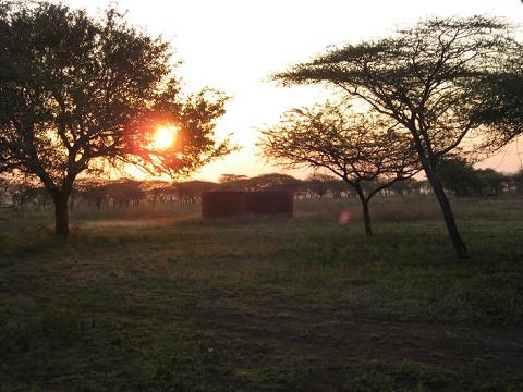 Sunset at the ranch