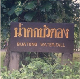 Also known as "Sticky Waterfall"