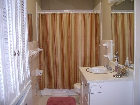 what a sweet bathroom, huh?  i LOVE the shower curtain we picked out.