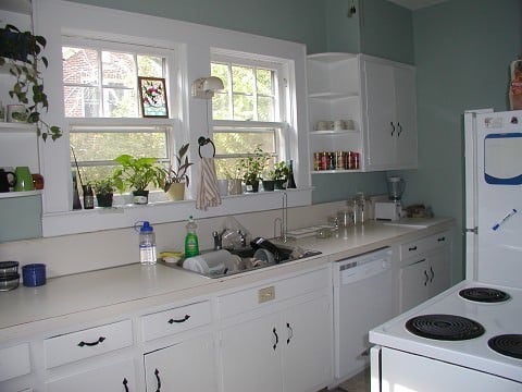 The Kitchen, complete with a brandnew dishwasher!  I love the windows and growing things--yay!