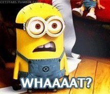 Image result for whaaaaat minion meme