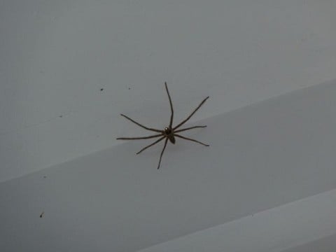 From january2015.theworldrace.org