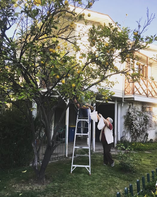 Pretty much everyday we visit homes in our neighborhood. We listen to their stories, tell them our own, pray for them, sing with them, bring them the word of God and sometimes they give us lemons from their lemon trees.