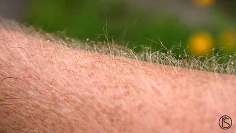 some midwest world racers