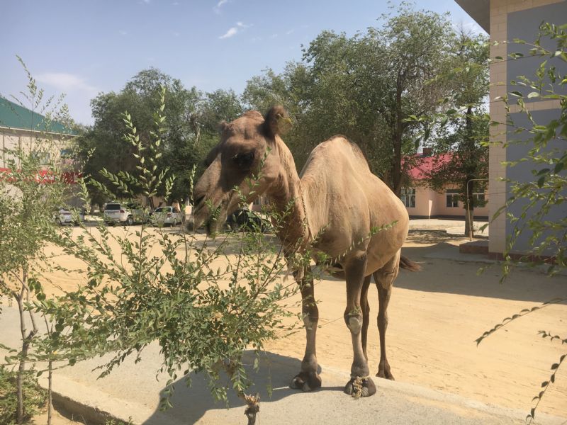 From heidibeckmann.theworldrace.org