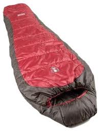 From january2015.theworldrace.org